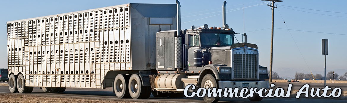 Commercial Auto / Trucking